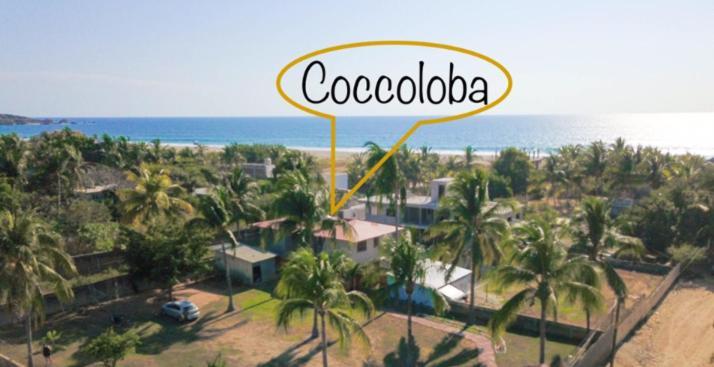 Coccoloba Guest House Puerto Escondido  Exteriör bild